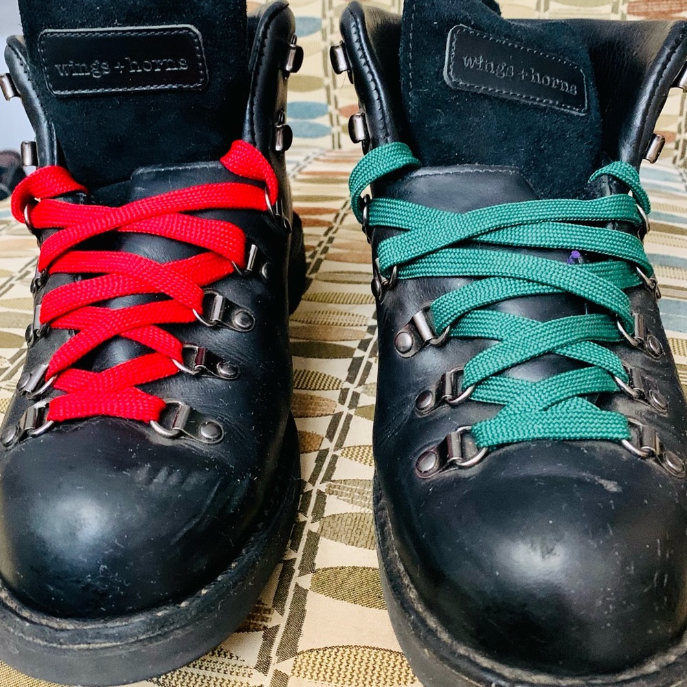 Danner, Limited Edition Mountain Light - Wings & Horns. Black Men’s size 10D.